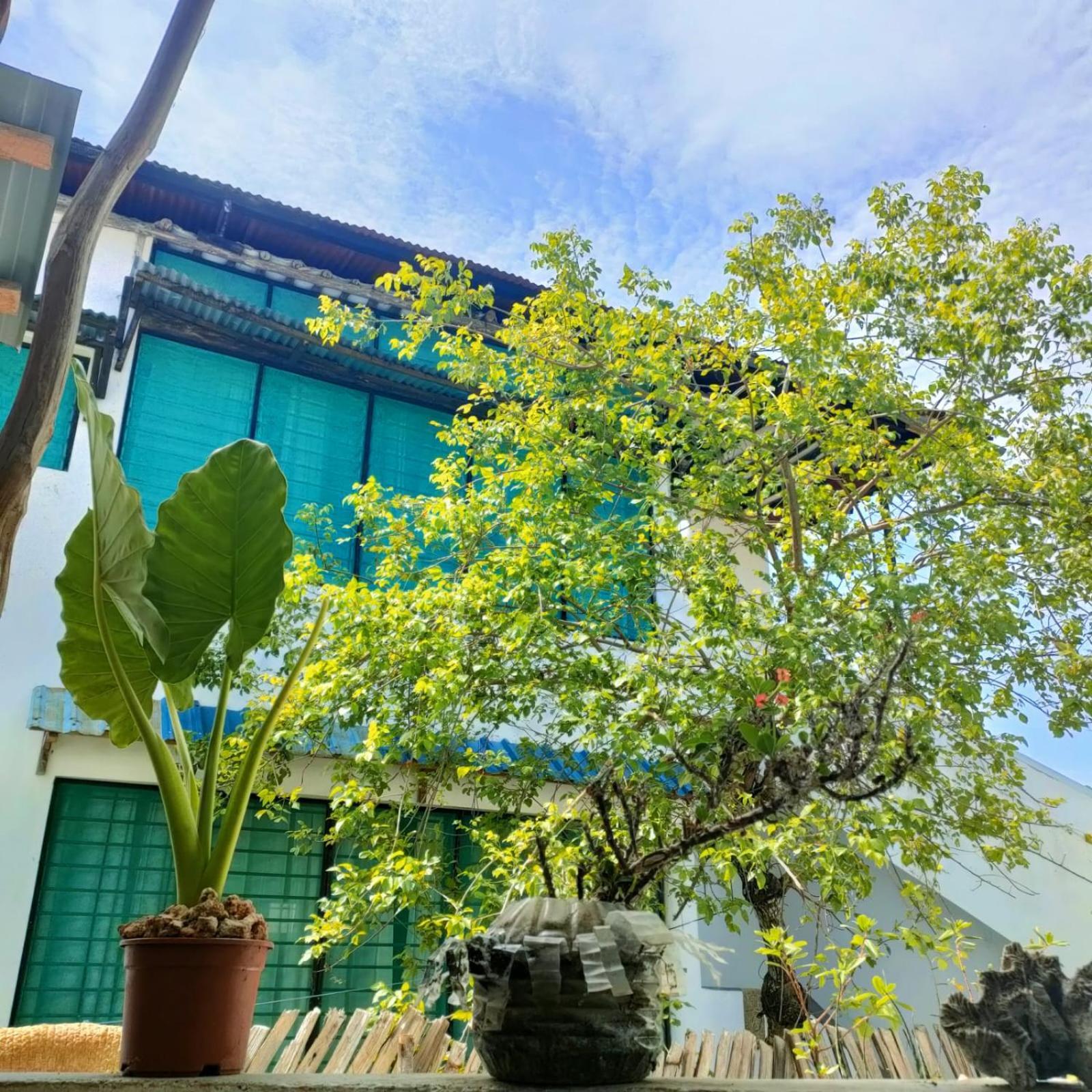 Palm Paradise Loft Diani Beach Exterior photo